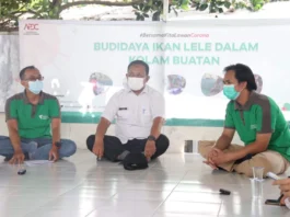 LKC DD Banten Gelar Panen Raya Budikolbu Hasilkan 1,5 Ton Ikan Lele
